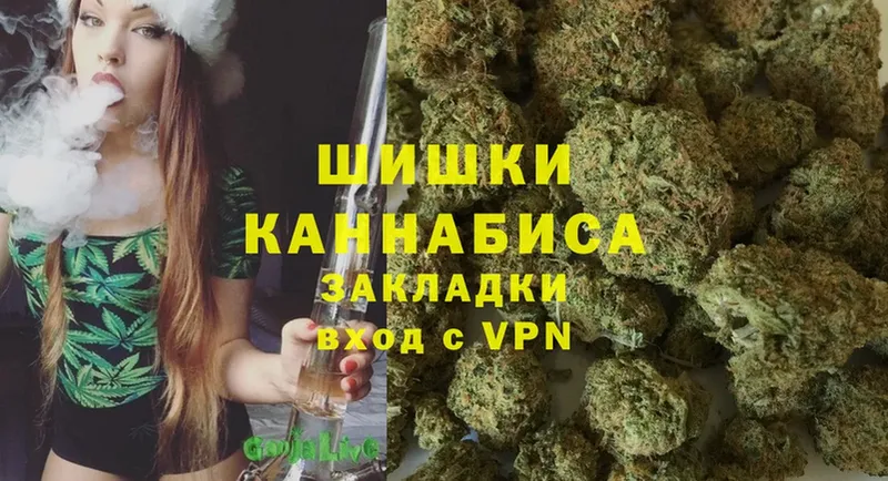 Бошки Шишки White Widow  Духовщина 